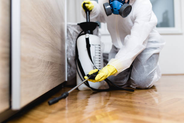 Best Ant Control Services  in Yorkville, NY