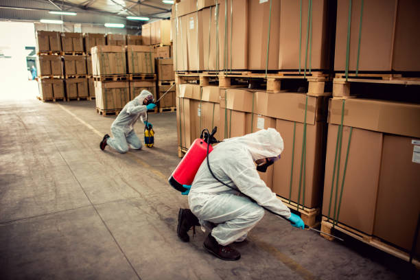 Best Pest Inspection Near Me  in Yorkville, NY