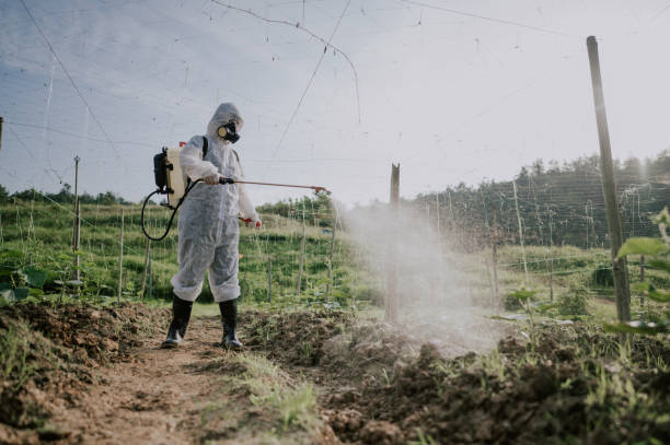 Best Commercial Pest Control Services  in Yorkville, NY