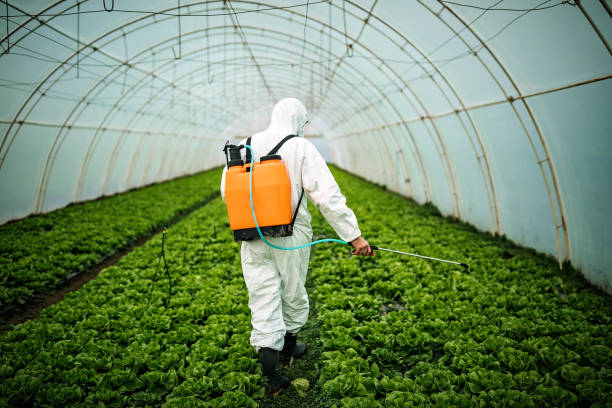 Best Best Pest Control Near Me  in Yorkville, NY