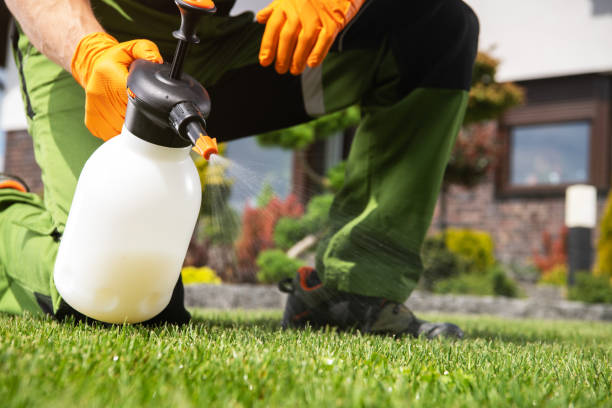 Best Pest Control Near Me in Yorkville, NY
