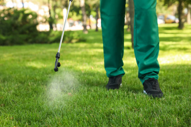 Best Best Pest Control Companies  in Yorkville, NY