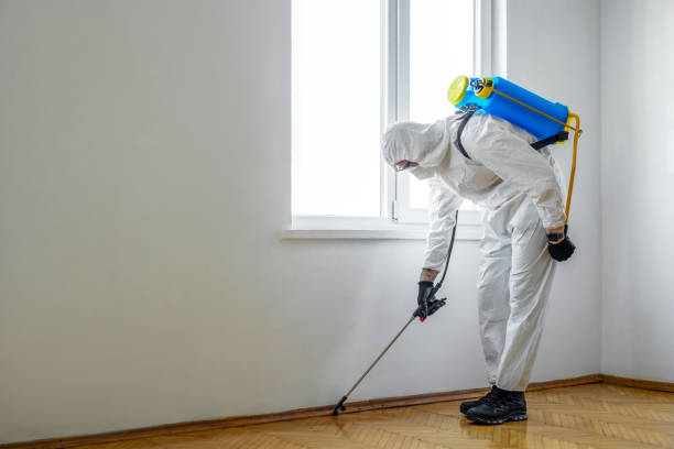 Best Residential Pest Control  in Yorkville, NY