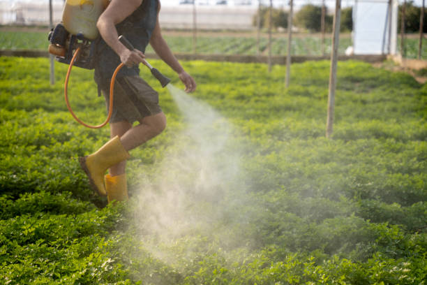 Best Pest Removal Services  in Yorkville, NY