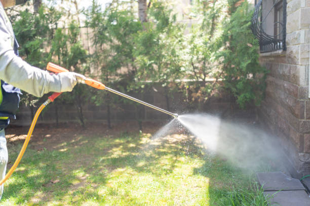 Best Best Pest Control Companies  in Yorkville, NY