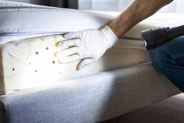 Best Exterminator Services  in Yorkville, NY