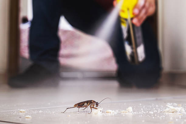 Best Best Pest Control Companies  in Yorkville, NY