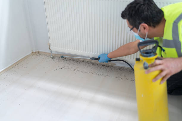 Best Affordable Pest Control Services  in Yorkville, NY