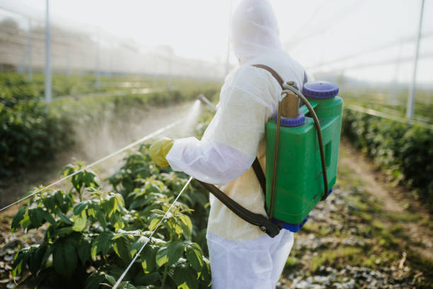Best Emergency Pest Control  in Yorkville, NY